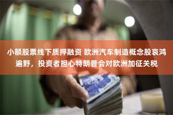 小额股票线下质押融资 欧洲汽车制造概念股哀鸿遍野，投资者担心特朗普会对欧洲加征关税