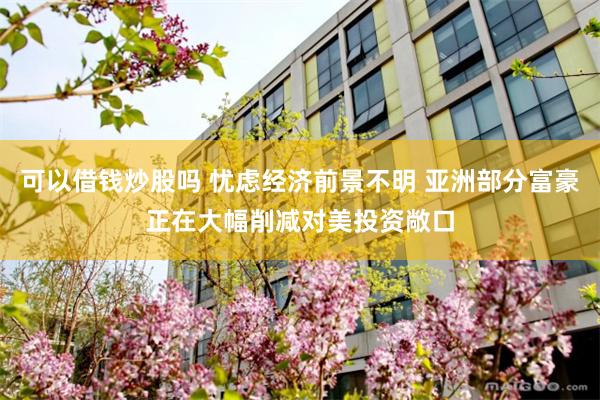 可以借钱炒股吗 忧虑经济前景不明 亚洲部分富豪正在大幅削减对美投资敞口