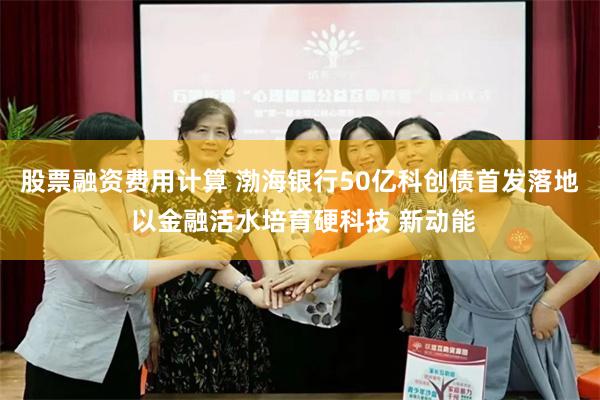 股票融资费用计算 渤海银行50亿科创债首发落地 以金融活水培育硬科技 新动能