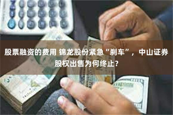 股票融资的费用 锦龙股份紧急“刹车”，中山证券股权出售为何终止？
