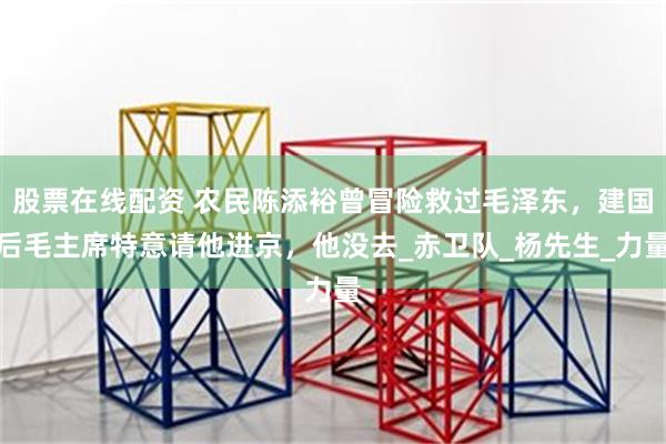 股票在线配资 农民陈添裕曾冒险救过毛泽东，建国后毛主席特意请他进京，他没去_赤卫队_杨先生_力量