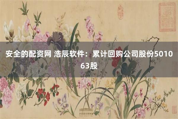 安全的配资网 浩辰软件：累计回购公司股份501063股