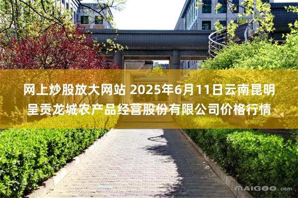 网上炒股放大网站 2025年6月11日云南昆明呈贡龙城农产品经营股份有限公司价格行情